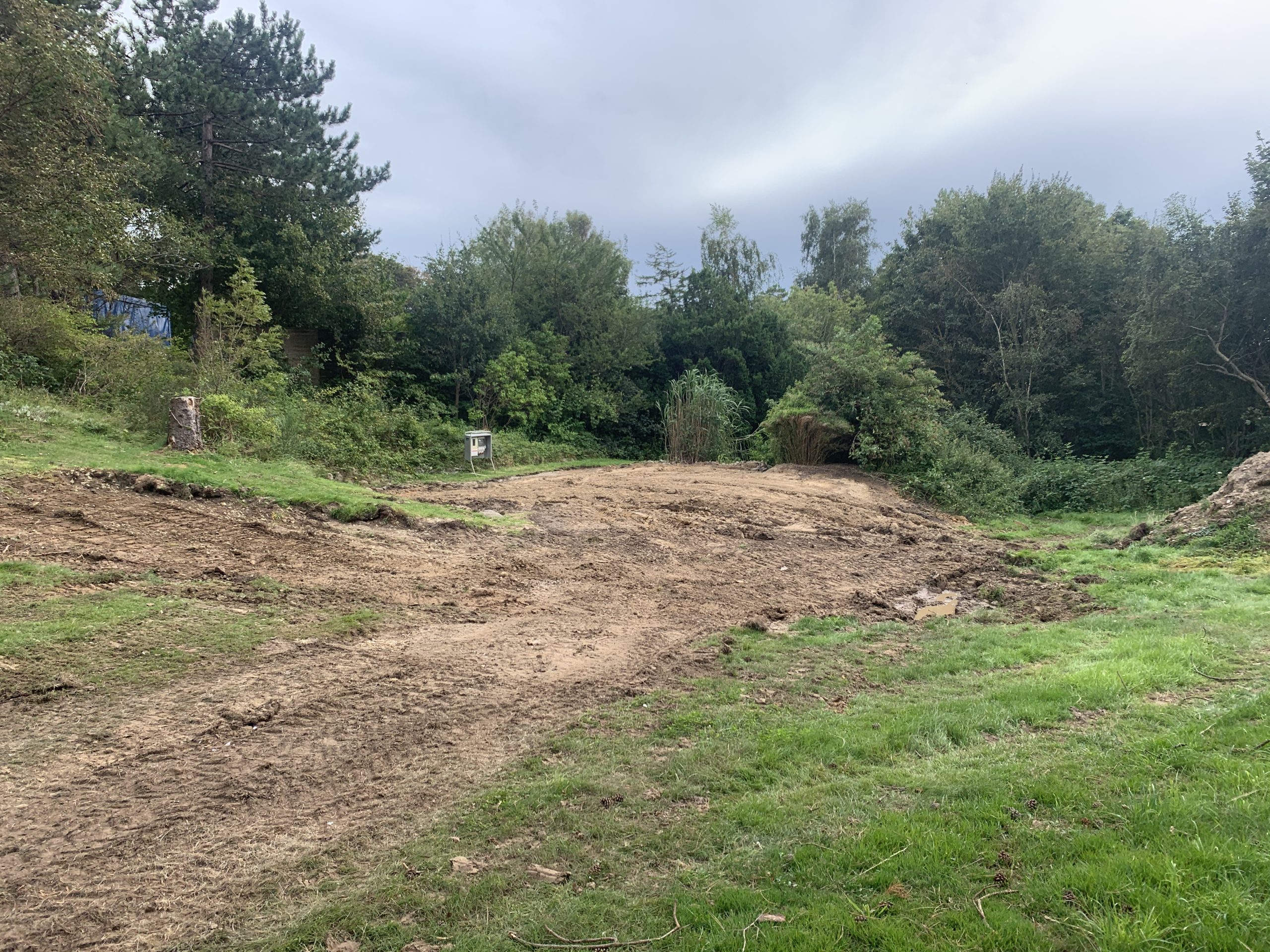 Nedrevet sommerhus på stejl grund i skoven